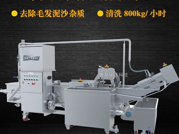 蔬菜氣泡清洗機，氣泡清洗，清洗800kg/小時